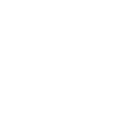 human 人間