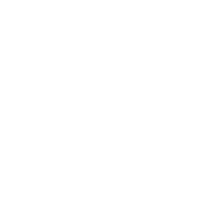 try 努力